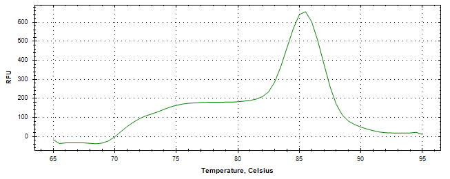 Melt curve analysis of above amplification.