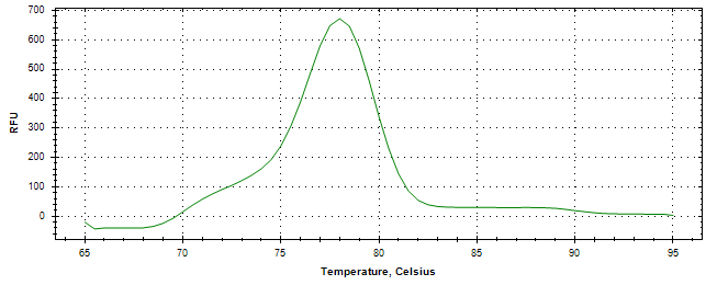 Melt curve analysis of above amplification.