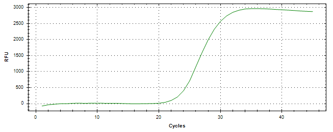 Amplification of cDNA generated from universal RNA.