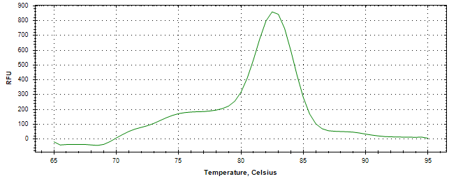 Melt curve analysis of above amplification.