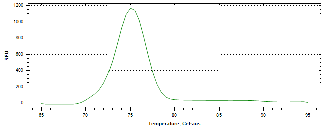 Melt curve analysis of above amplification.