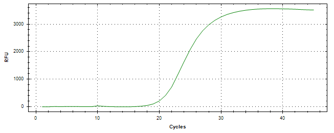 Amplification of cDNA generated from universal RNA.