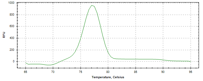 Melt curve analysis of above amplification.