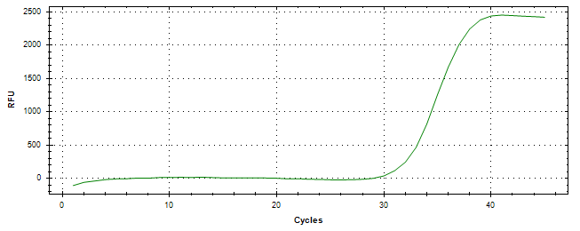 Amplification of cDNA generated from universal RNA.