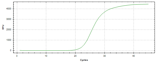 Amplification of cDNA generated from universal RNA.