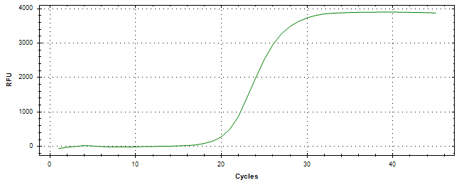 Amplification of cDNA generated from universal RNA.