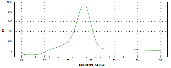 Melt curve analysis of above amplification.