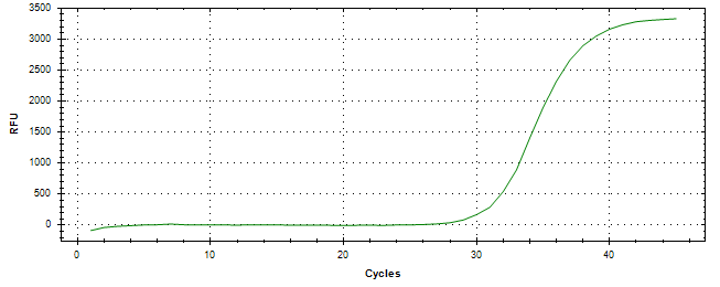 Amplification of cDNA generated from universal RNA.