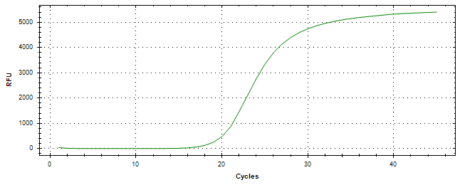 Amplification of cDNA generated from universal RNA.