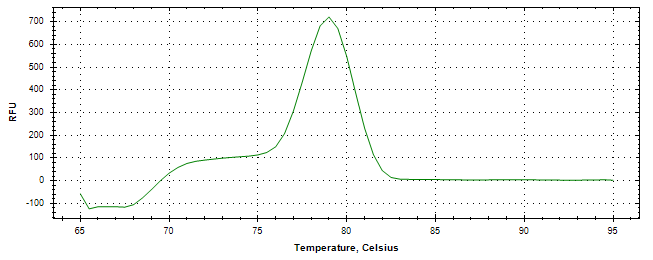 Melt curve analysis of above amplification.