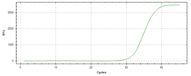 Amplification of cDNA generated from universal RNA.