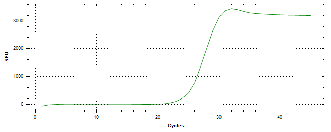 Amplification of cDNA generated from universal RNA.
