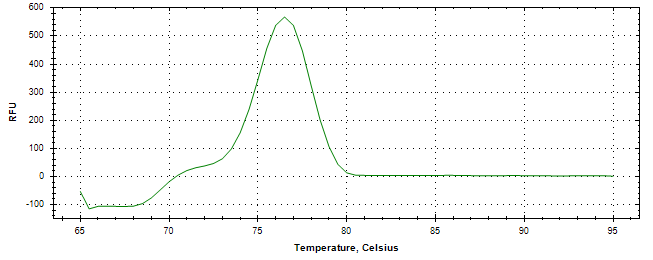 Melt curve analysis of above amplification.