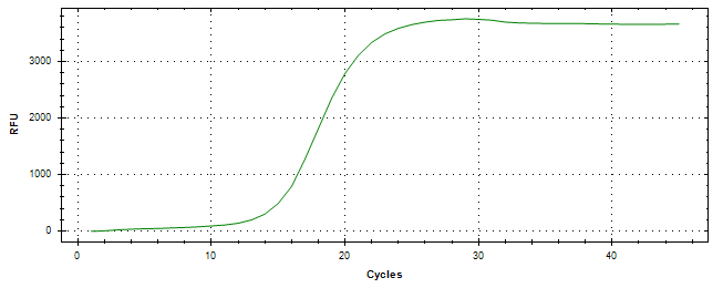 Amplification of cDNA generated from universal RNA.