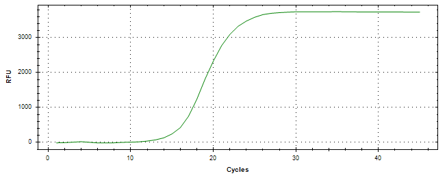 Amplification of cDNA generated from universal RNA.