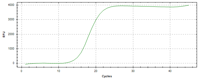 Amplification of cDNA generated from universal RNA.