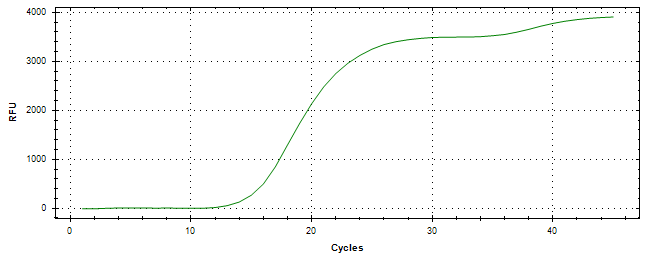 Amplification of cDNA generated from universal RNA.