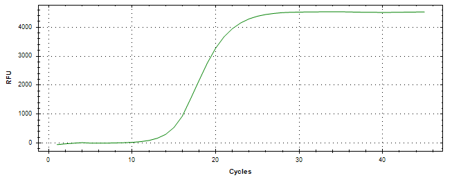 Amplification of cDNA generated from universal RNA.