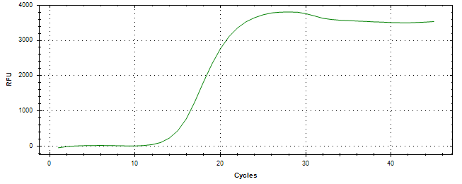 Amplification of cDNA generated from universal RNA.