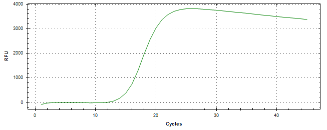 Amplification of cDNA generated from universal RNA.