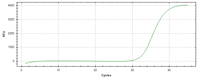 Amplification of cDNA generated from universal RNA.