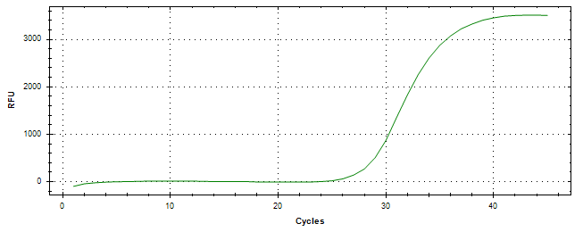 Amplification of cDNA generated from universal RNA.