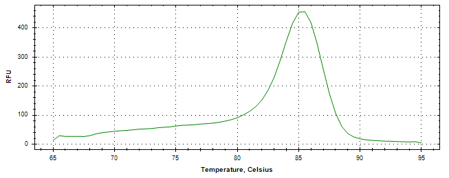 Melt curve analysis of above amplification.