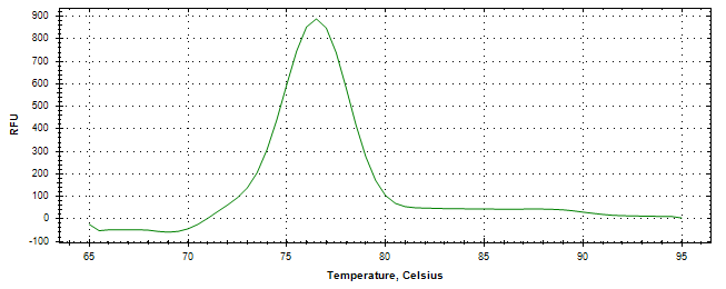 Melt curve analysis of above amplification.