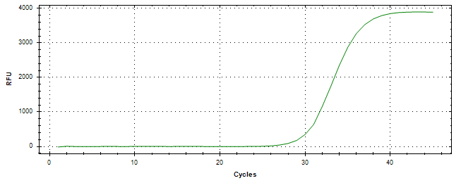 Amplification of cDNA generated from universal RNA.