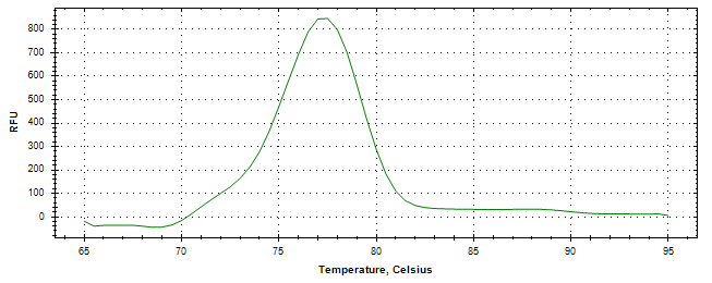 Melt curve analysis of above amplification.