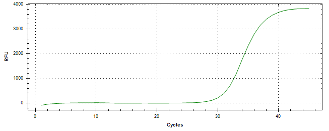 Amplification of cDNA generated from universal RNA.