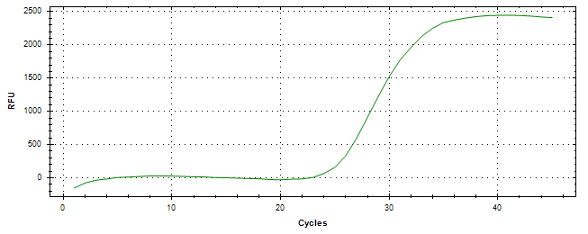 Amplification of cDNA generated from universal RNA.