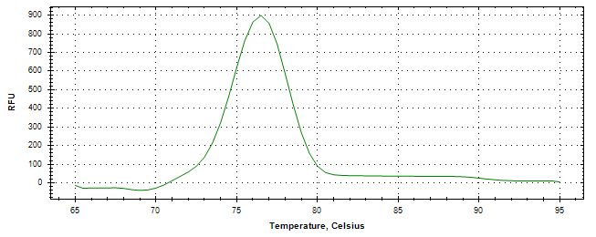 Melt curve analysis of above amplification.