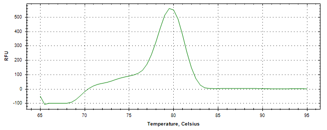 Melt curve analysis of above amplification.
