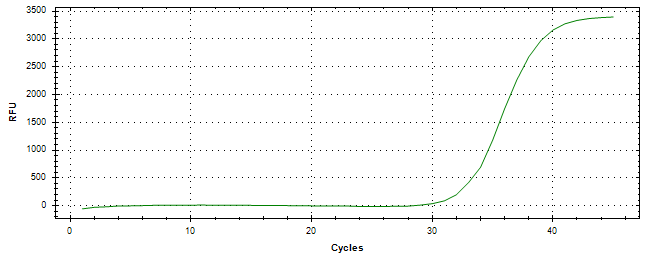 Amplification of cDNA generated from universal RNA.