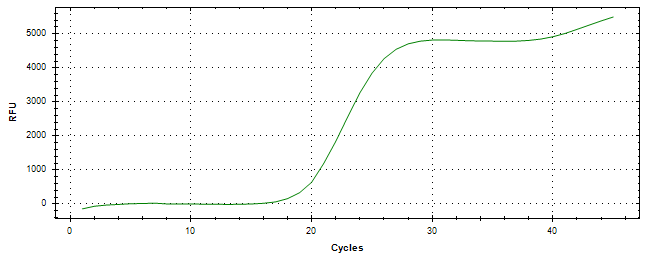 Amplification of cDNA generated from universal RNA.