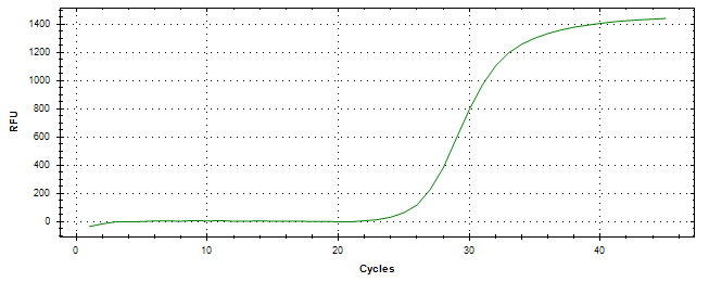 Amplification of cDNA generated from universal RNA.