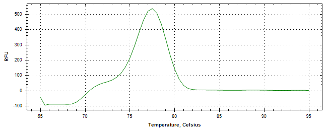 Melt curve analysis of above amplification.