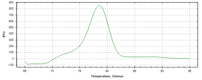 Melt curve analysis of above amplification.