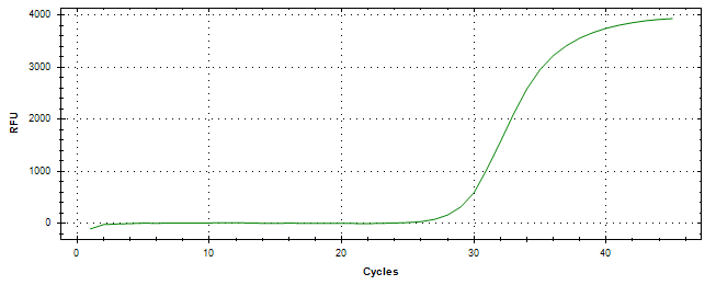 Amplification of cDNA generated from universal RNA.