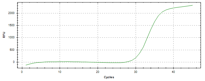 Amplification of cDNA generated from universal RNA.