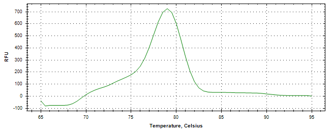 Melt curve analysis of above amplification.