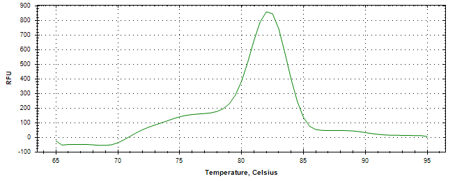 Melt curve analysis of above amplification.