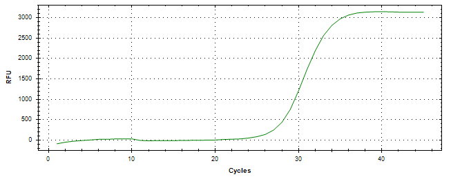 Amplification of cDNA generated from universal RNA.