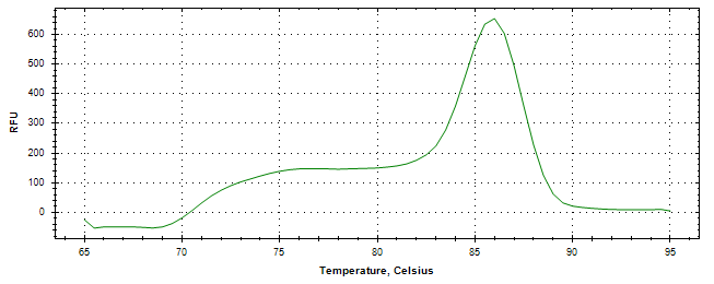 Melt curve analysis of above amplification.