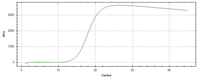 Amplification of cDNA generated from universal RNA.