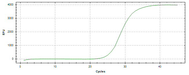 Amplification of cDNA generated from universal RNA.