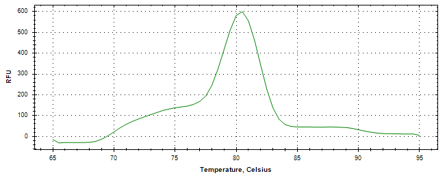 Melt curve analysis of above amplification.