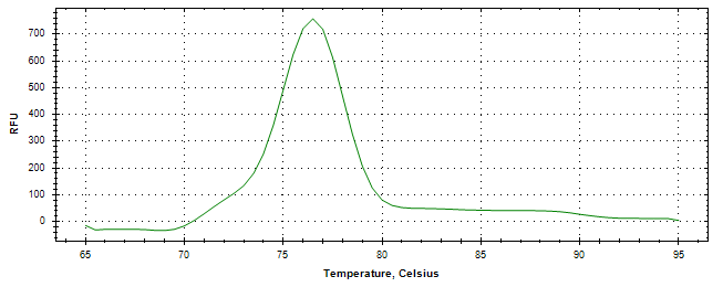 Melt curve analysis of above amplification.