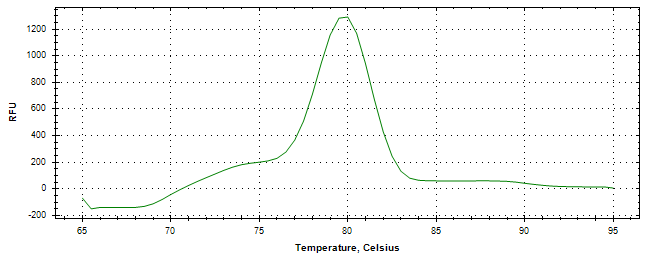 Melt curve analysis of above amplification.